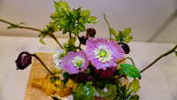 https://images.plurk.com/jiA1EIv56DQXvMvp4UrUm.jpg