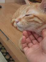 https://images.plurk.com/jle5CMAe0BJmx5OKTrDxa.jpg
