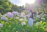 https://images.plurk.com/jlzQ9vmbbLGaM6tNE1TKx.png