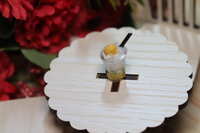 https://images.plurk.com/jn7VdlU2gIeVvtjATxYx2.jpg