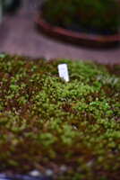 https://images.plurk.com/jpGWLIHyYKmOBPC8nf0gH.jpg