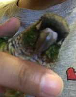 https://images.plurk.com/jsfva5xhkJLT5Qjt40foc.jpg
