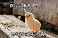 https://images.plurk.com/jxBl1ZuqDthNZCc8JYfVz.jpg