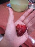 https://images.plurk.com/jxgcHTCmYp7tAFPx1b6Ab.jpg