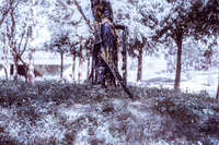 https://images.plurk.com/jzHEmAEcvoaP5A9zZvenT.jpg