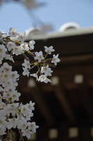 https://images.plurk.com/k7VEU3m7edWAylIqFjaLV.jpg