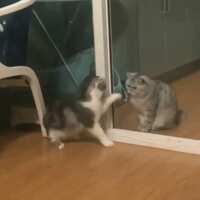 https://images.plurk.com/kEeY7bRQ4benlEPUomT01.gif