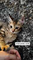 https://images.plurk.com/kKArPqd1tbEY4wkFnC6SQ.jpg