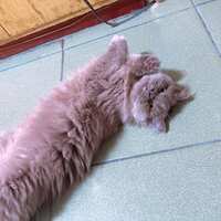 https://images.plurk.com/kKKNFfRoVs2m1A4ptoETZ.jpg