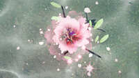 https://images.plurk.com/kOBCYzbdroSWct6uVIwQt.jpg