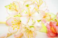 https://images.plurk.com/kRhSCZKE4HCXqNvec6kXG.jpg