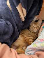 https://images.plurk.com/kSpn09vuR5iEiViy4pDv.jpg