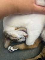 https://images.plurk.com/ka0tShOhtEqJU9tXGqjii.jpg