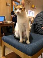 https://images.plurk.com/kd0V8EkBTmrEZsbT6h7El.jpg