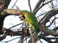 https://images.plurk.com/keUb79muw1bWrsD1JvMxZ.jpg