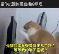 https://images.plurk.com/kfcWZFyAwlGQD7Bn00phb.png