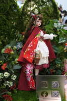 https://images.plurk.com/kkZq8J0rXcQEGyxpznJNd.jpg