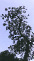 https://images.plurk.com/kklCy2rLdMNDULPJ0Qf1l.jpg