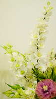 https://images.plurk.com/klOx9jVM0lbNXZA5TSS4n.jpg