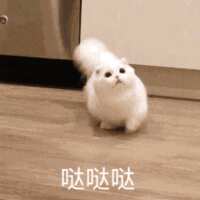 https://images.plurk.com/kmpGdTf87eLvtXoWIEwg8.gif