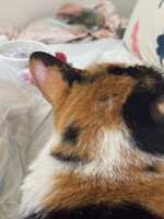 https://images.plurk.com/koxepXNlCkMzQn6mGATSa.jpg