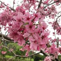 https://images.plurk.com/ksPnz4v1y5bbGRzD047NK.jpg
