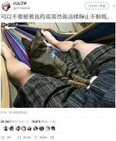 https://images.plurk.com/l1ML5fHO6EAqy1s0N8YjY.jpg