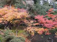 https://images.plurk.com/l4vsMaMphz8CF0U7bmAgy.jpg