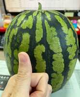 https://images.plurk.com/lAs6n3MocW6CQJwgVjjTl.jpg