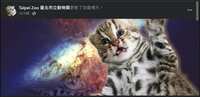 https://images.plurk.com/lDleCyFjraDFhe9tXbm4t.png