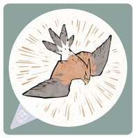 https://images.plurk.com/lFk8SvodMIHJrzaUAPRus.jpg