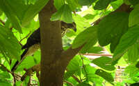 https://images.plurk.com/lGtHHoTqvz9SpsI2Vt05.jpg