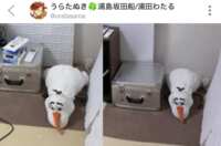 https://images.plurk.com/lOsvEwDaVCpUoXU9ADWR3.png
