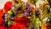 https://images.plurk.com/lShRxKKONP3XyUezxmgM6.jpg