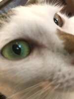 https://images.plurk.com/lSoqYTzjjsm05Gh8zuvcC.jpg