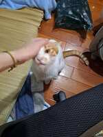 https://images.plurk.com/lUwKfMEnlq4HrnHi5prCr.jpg