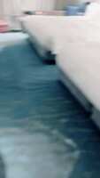 https://images.plurk.com/lWNJQInNTDcsxq5YDo2J5.gif