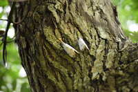https://images.plurk.com/lWt19Xws7gglJye9yiNY5.jpg