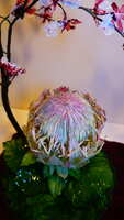 https://images.plurk.com/ldfZ655inDK4XHjmdVUVZ.jpg
