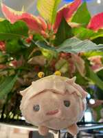 https://images.plurk.com/lu1OarHYP828tNseOBKiN.jpg