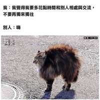 https://images.plurk.com/lyNQ32I14Jo3KGIEw1sUr.jpg