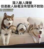 https://images.plurk.com/m3KnvS17Ct9jhJ9iH15oz.jpg