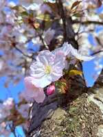https://images.plurk.com/m4QuFzzjS7Q03bNrPrY0a.jpg