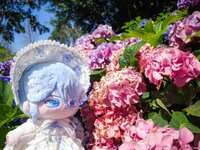 https://images.plurk.com/mCv42eBd0R9YvsbPj8TJX.jpg