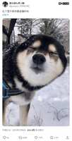 https://images.plurk.com/mDuPy7tlyuW8NDIjdtHTC.png