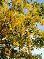 https://images.plurk.com/mG9u49P3DA8EtpQtwIRsx.jpg