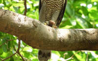 https://images.plurk.com/mPEes3f1WfjEOdAu60Z8k.jpg