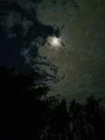 https://images.plurk.com/mWgOHH5csxWhVquSthmsE.jpg