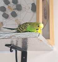 https://images.plurk.com/miORCEpn4256EL5KdKjAc.jpg