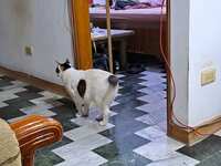 https://images.plurk.com/mjbDGHepwYcrN6G2Y6hdK.jpg